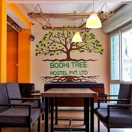 Bodhi Tree Hostel Kathmandu Luaran gambar