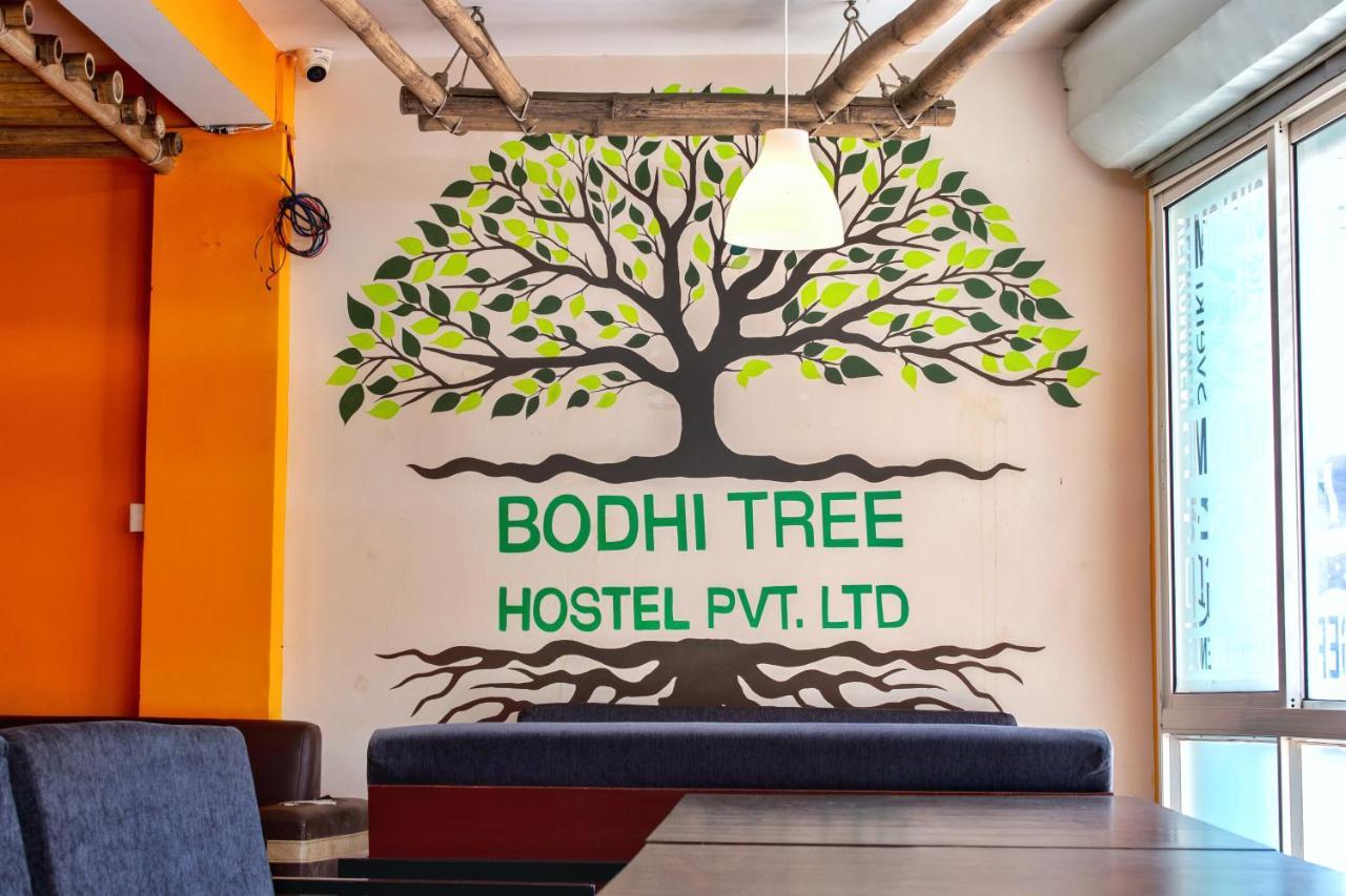 Bodhi Tree Hostel Kathmandu Luaran gambar