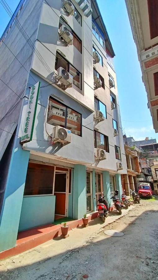 Bodhi Tree Hostel Kathmandu Luaran gambar